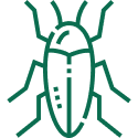 014-bug-1.png