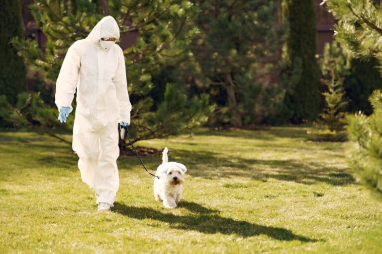 Is Pest Control Safe for Dogs?