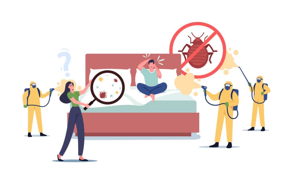 bed bug treatment fumigation service