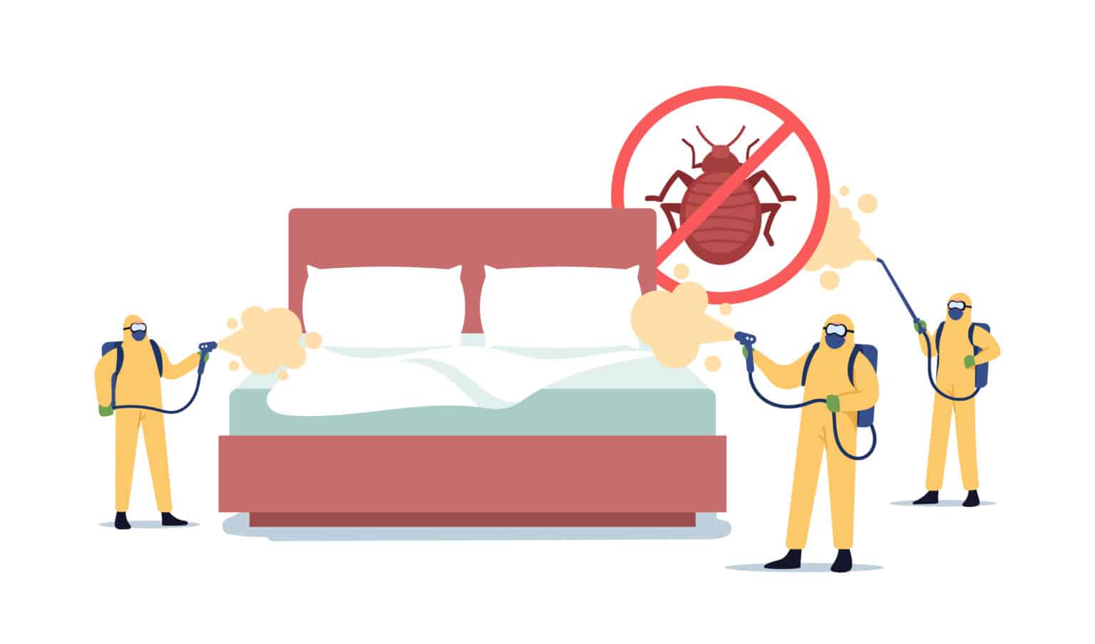 bed bug inspection service in riverside