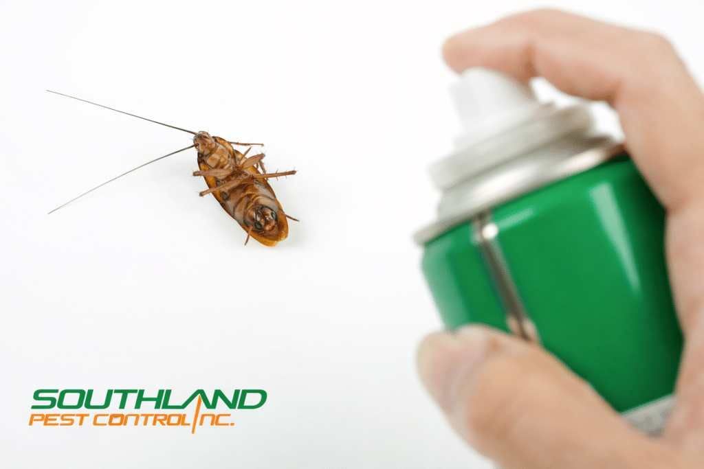 Why Do I Keep Seeing Cockroaches Even After I Spray?