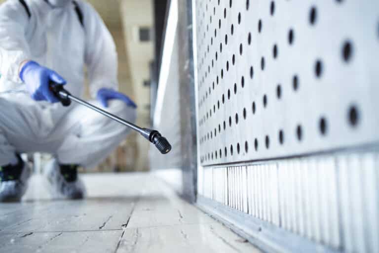 What to Expect During a Termite Inspection in Riverside