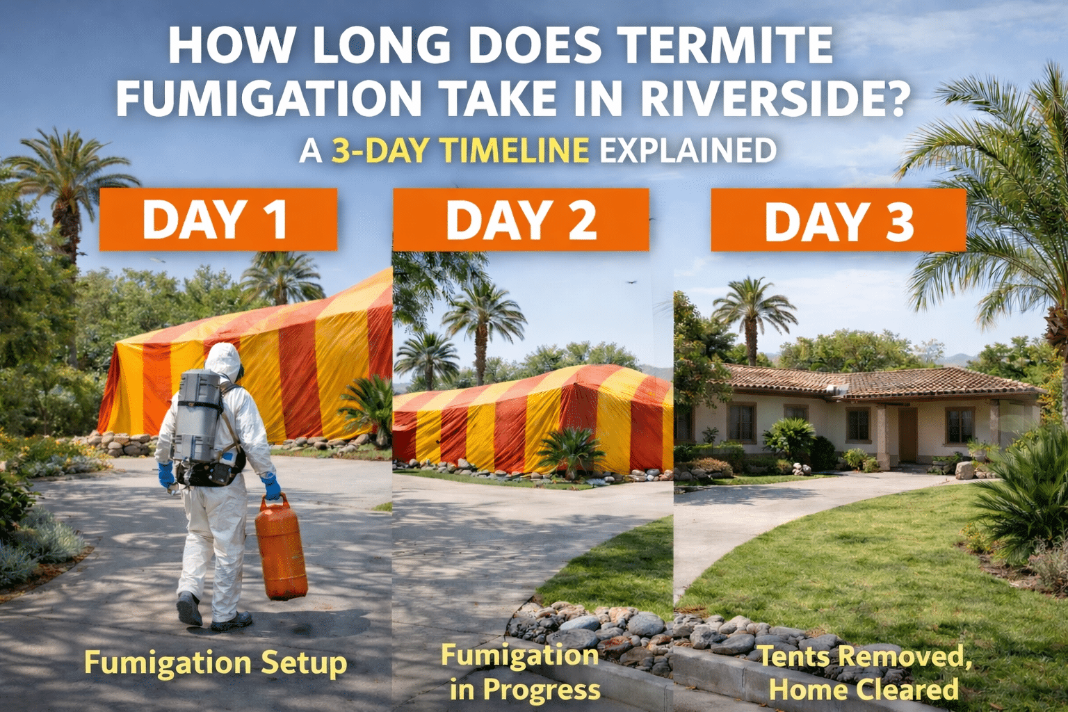 How Long Does Termite Fumigation Take in Riverside? A 3-Day Timeline Explained
