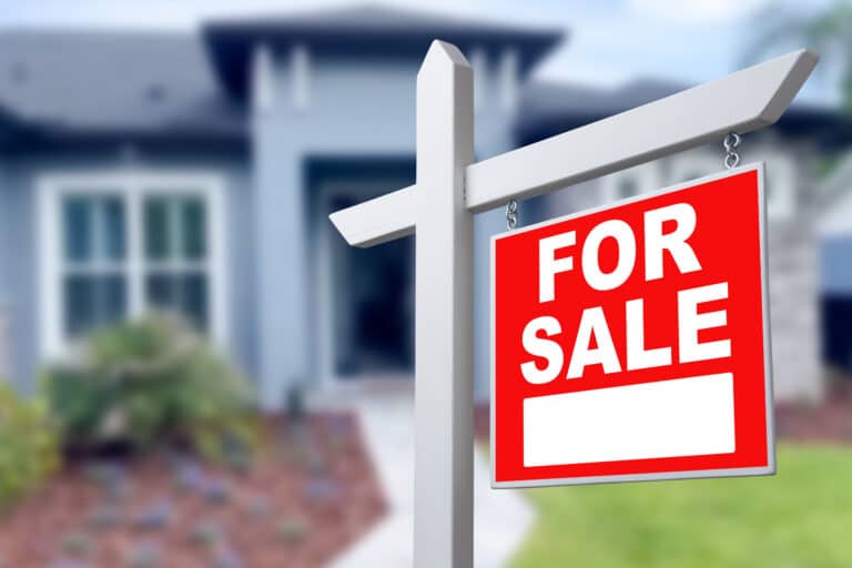 Do I Need a Termite Report to Sell My House in California? Seller’s Guide