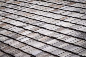Are There Roof Rats in Riverside, CA? Species Guide for SoCal Homeowners