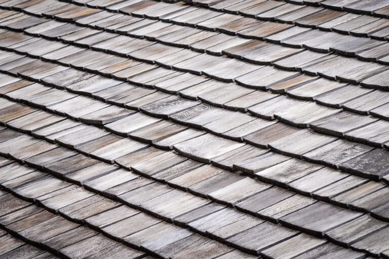Are There Roof Rats in Riverside, CA? Species Guide for SoCal Homeowners