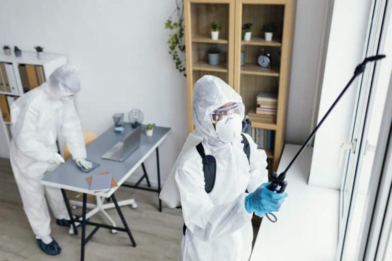 Can I Go Home the Same Day After Termite Fumigation? Riverside Re-Entry Guide